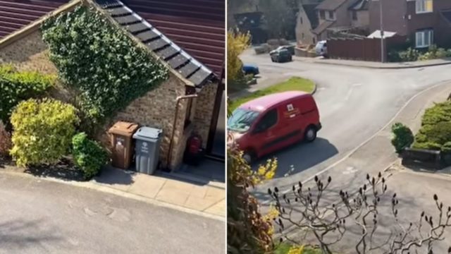 UK couple catch their neighbour dressing up as a shrub to escape lockdown
