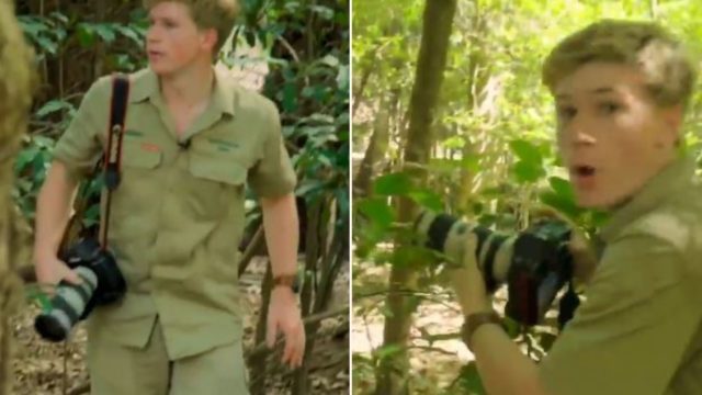 Robert Irwin follows Dad’s footsteps and captures incredibly rare species on film