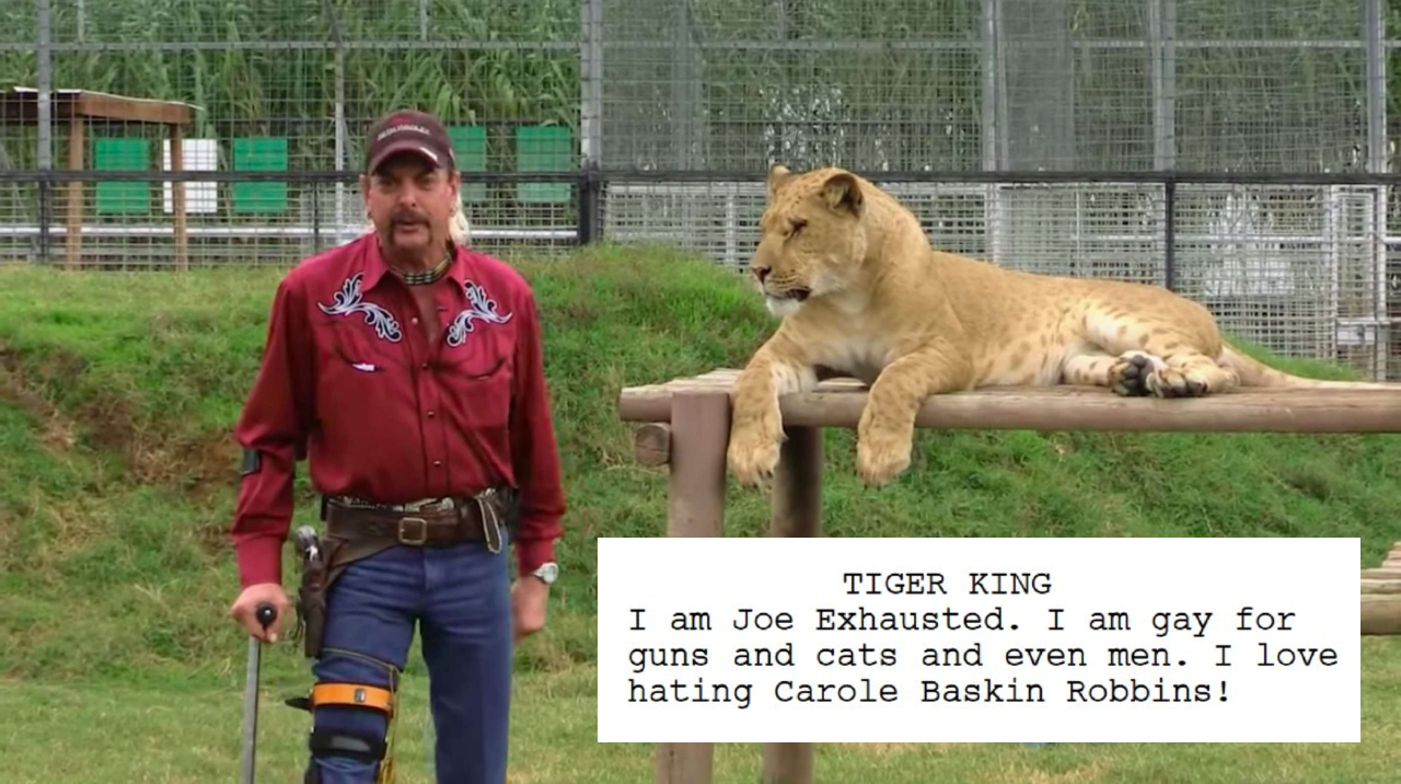 Bloke programs bot to create new episode of Tiger King, script turns out bloody gold