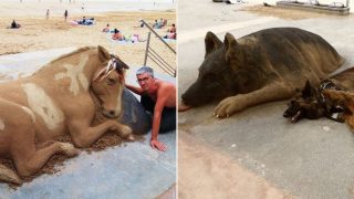 13 sand sculptures that are blowing people’s minds with their realistic appearance