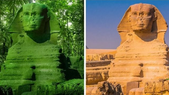 14 awesome things National Geographic has bloody taught us!