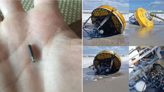These pics prove that the internet can identify just about anything