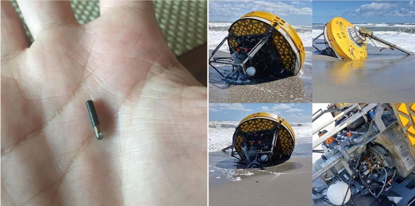 These pics prove that the internet can identify just about anything