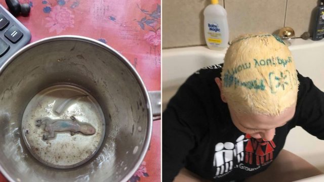 If you think you’re having a bad day, these probably prove you’re not…