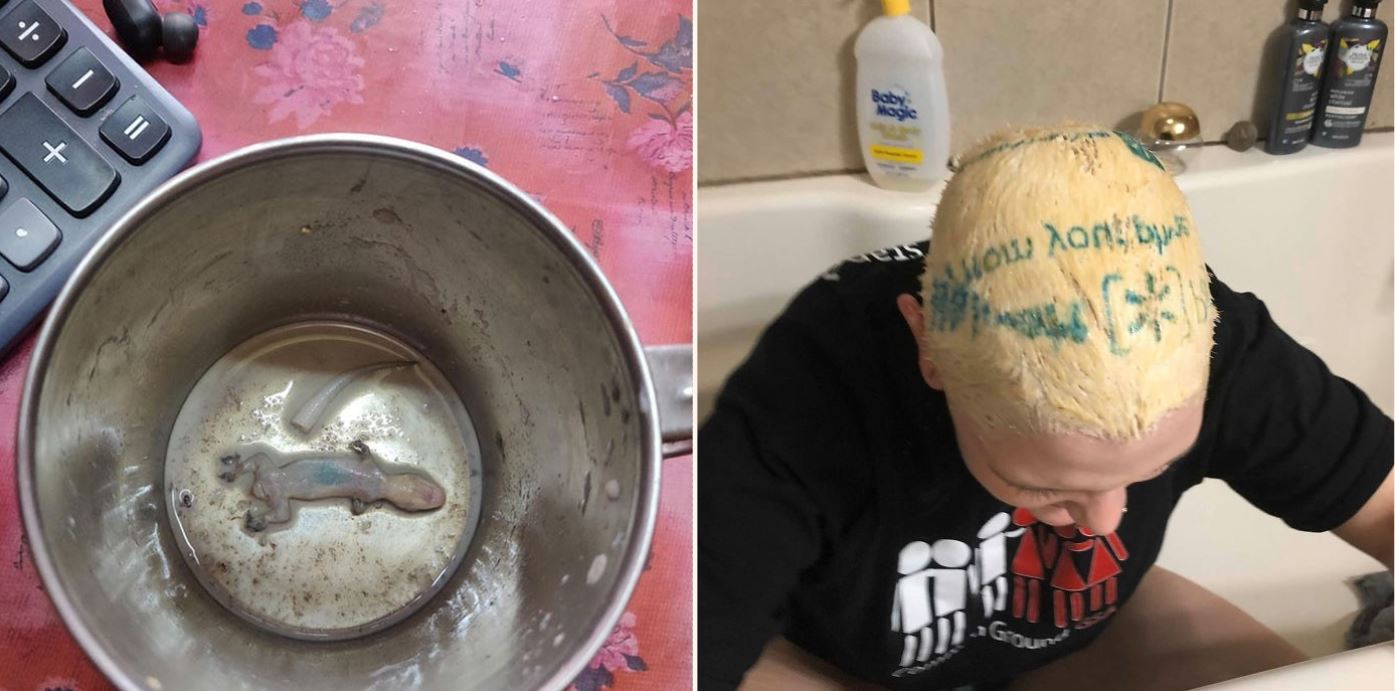 If you think you’re having a bad day, these probably prove you’re not…