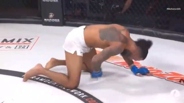 Peter Stanonik leaves Bellator 245 in tears after ‘bazooka’ spin kick to the groin