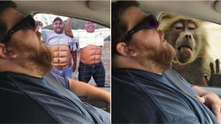 Wife has internet troll her sleeping husband with some cheeky Photoshop editing