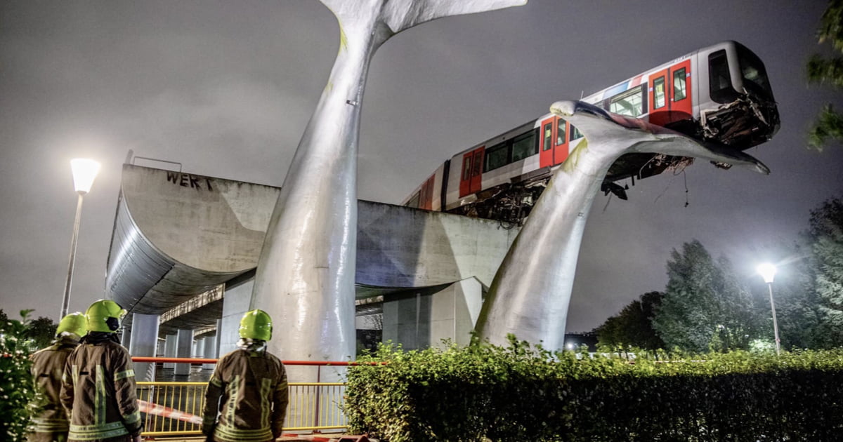Dutch train crashes through barrier and lands on giant whale sculpture