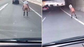 Naked bloke in panda mask captured on film rollerblading down US highway