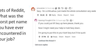 Vets share the worst pet names they’ve ever come across