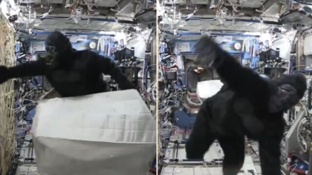 Astronaut terrorises international space station in monkey suit!