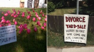 People share some gold photos of their neighbours
