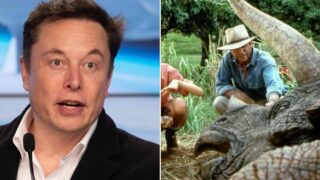 Elon Musk’s firm Neuralink confirms real-life Jurassic Park possibility