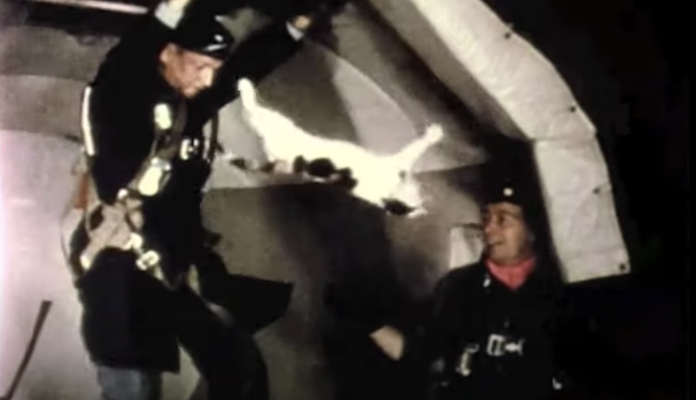 If a cat is dropped upside down at near-zero gravity, will it fall on its feet?