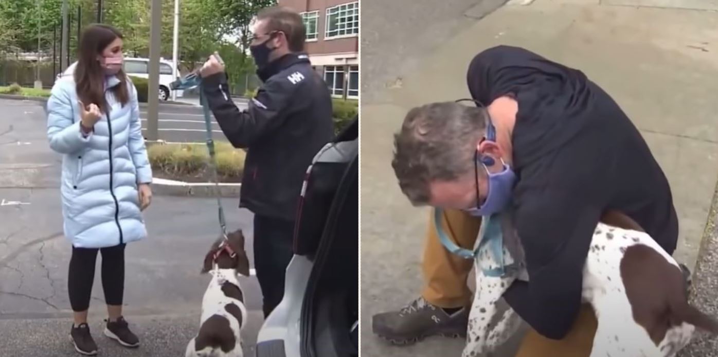 News reporter bumps into dog thief while reporting the story