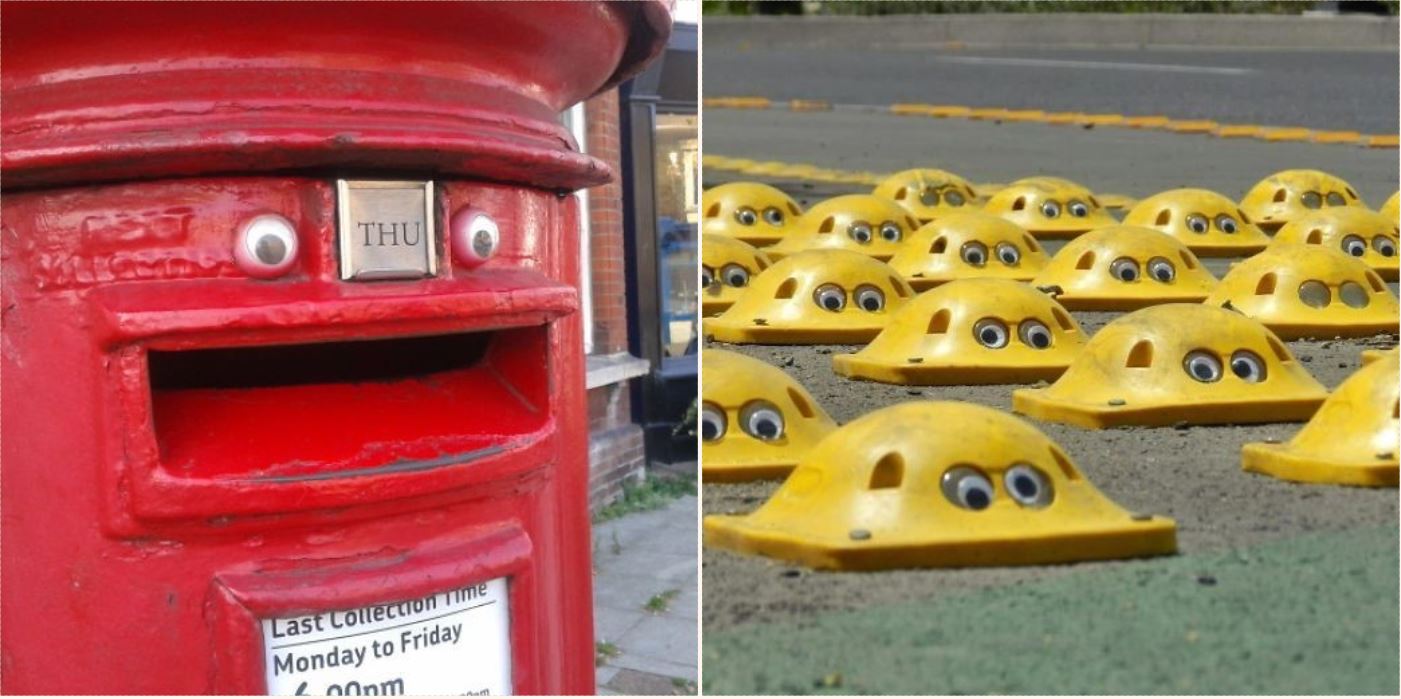 Googly eyes make everything look 10x f#*%en better!