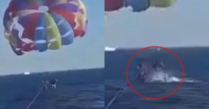 Shark leaps out of the f@#*en water and bites parasailor’s foot