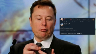 Elon Musk follows woman on Twitter, she thanks him, then he unfollows