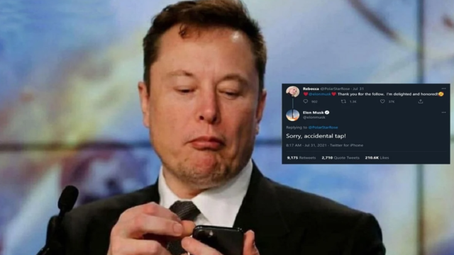 Elon Musk follows woman on Twitter, she thanks him, then he unfollows