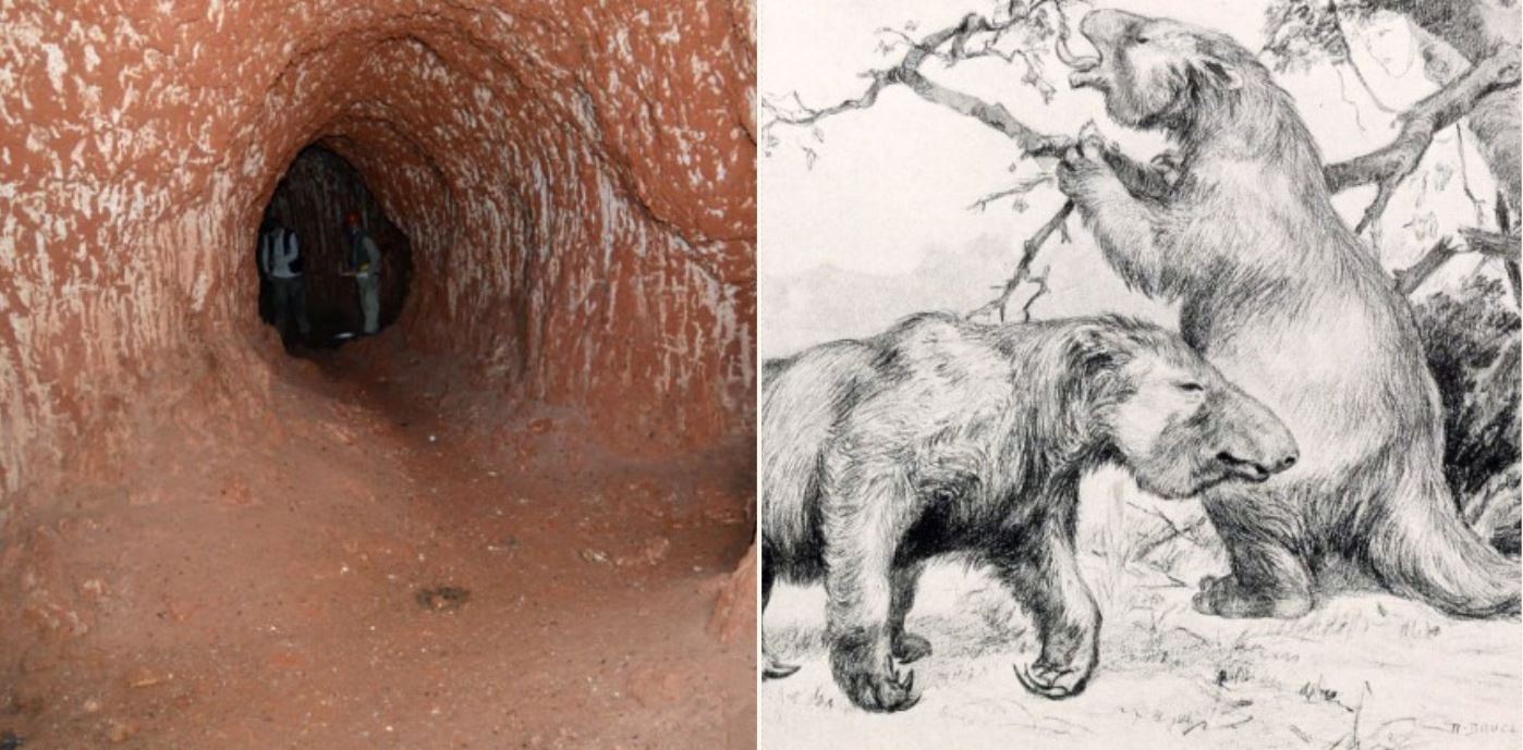 Brazil has underground tunnels dug by giant ground sloths from 10,000 years ago
