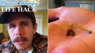 You’ve been eating apples the wrong way