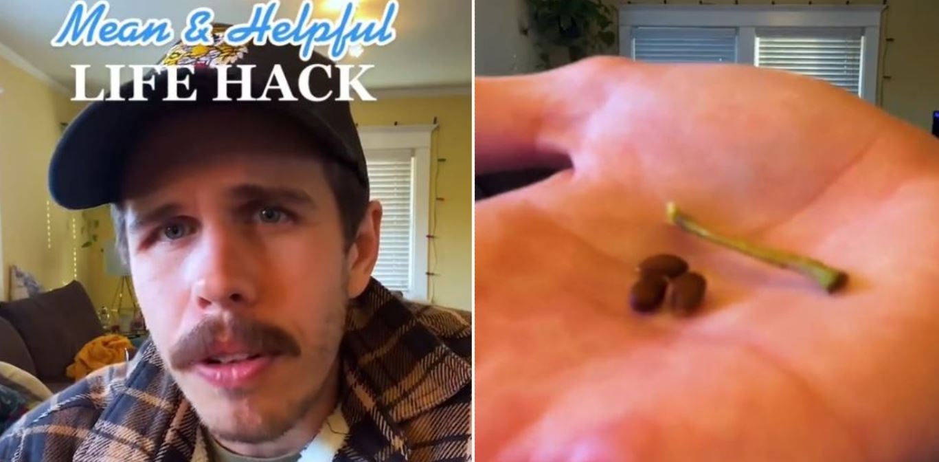 You’ve been eating apples the wrong way