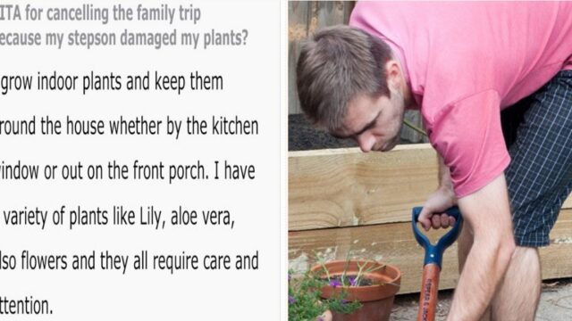 Kid deliberately waters his Stepdad’s plants with bleach, family trip is cancelled in response