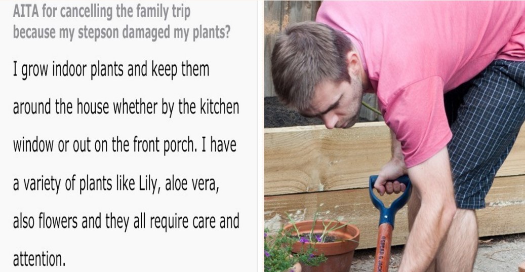 Kid deliberately waters his Stepdad’s plants with bleach, family trip is cancelled in response