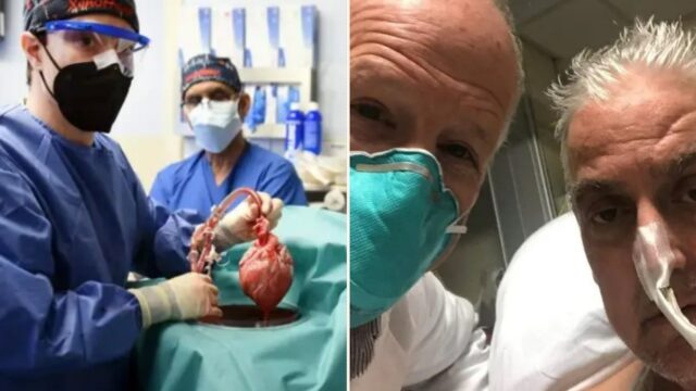 US bloke receives first pig-human heart transplant