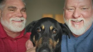 Dog abandoned for ‘being gay’ finds new home with same-sex couple!