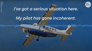 Passenger with no flight experience forced to land plane