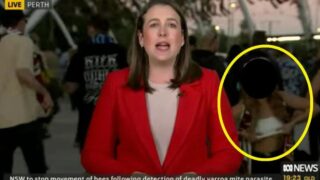 Female  State of Origin fan flashes the camera while reporter does a live cross