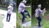 Rabid Fox picks fight with Grandma