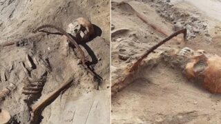 Remains of 17th Century Vampire found in Poland