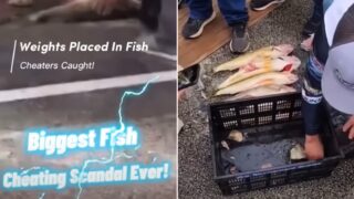 Fishing world rocked by cheating scandal in the US